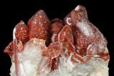 Natural, Red Quartz Crystal Cluster - Morocco #153776-2